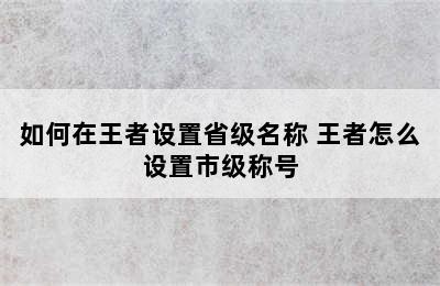 如何在王者设置省级名称 王者怎么设置市级称号